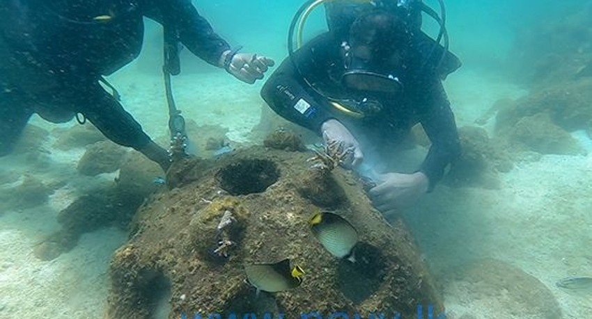 Navy workshop on Coral Conservation
